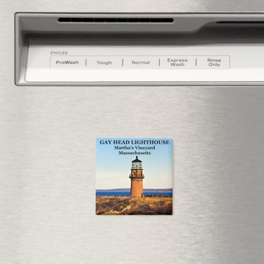 Gay Head Lighthouse, Martha's Vineyard MA Magneet (Insitu (Vaatwasser))