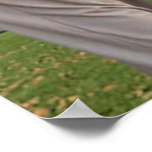 Gay Paree Poster (Hoek)