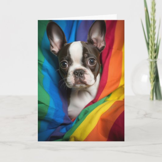 Gay Pride Boston Terrier Kaart (Voorkant)