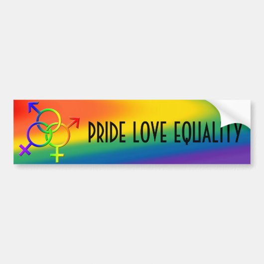 Gay Pride Bumpersticker Same-Sex Love Stickers (Voorkant)