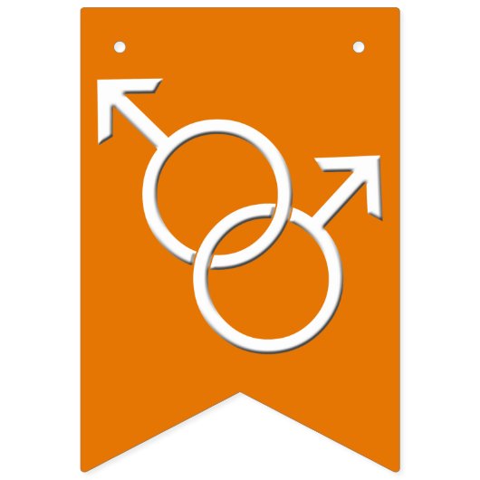 Gay Pride Bunting Banners Rainbow Love Flags (Tweede vlag)