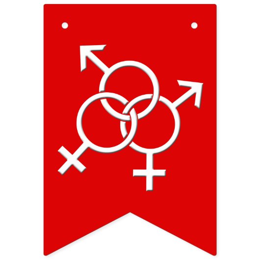 Gay Pride Bunting Banners Rainbow Love Flags (Eerste vlag)