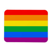 Gay Pride Flag Magneet (Horizontaal)