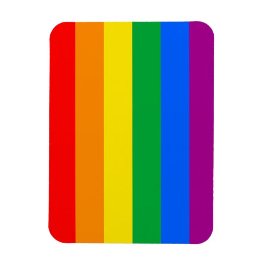 Gay Pride Flag Magneet (Verticaal)