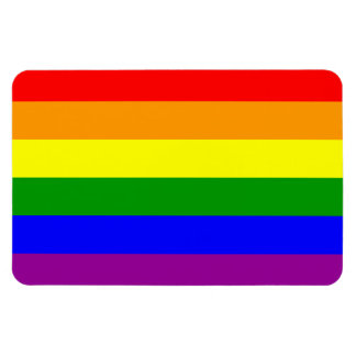 Gay Pride Flag/Regenboogvlag Magneet