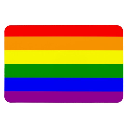 Gay Pride Flag/Regenboogvlag Magneet (Horizontaal)