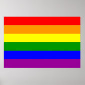 Gay Pride Flag/Regenboogvlag Poster (Voorkant)