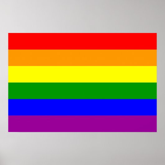 Gay Pride Flag/Regenboogvlag Poster (Voorkant)