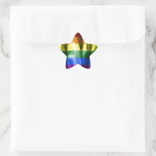 Gay Pride Flag Star Shaped Sticker (Tas)