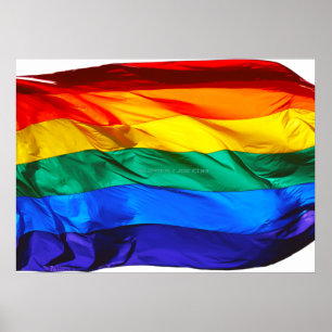 Gay Pride Flag van SlipperyJoe blaast de kleurendr Poster