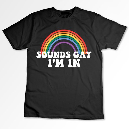 gay pride lgbt klinkt gay ik ben in regenboog gay t-shirt