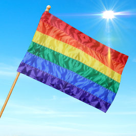 Gay Pride LGBT Lesbisch Queer Classic Retro Regenb Huisvlag