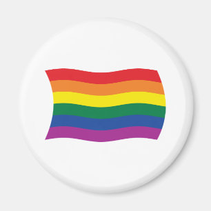 Gay Pride Movement Flag Magnet