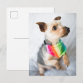 Gay Pride Rainbow Dog | Yorkshire Terrier Briefkaart (Voorkant / Achterkant)
