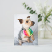 Gay Pride Rainbow Dog | Yorkshire Terrier Briefkaart (Staand voorkant)