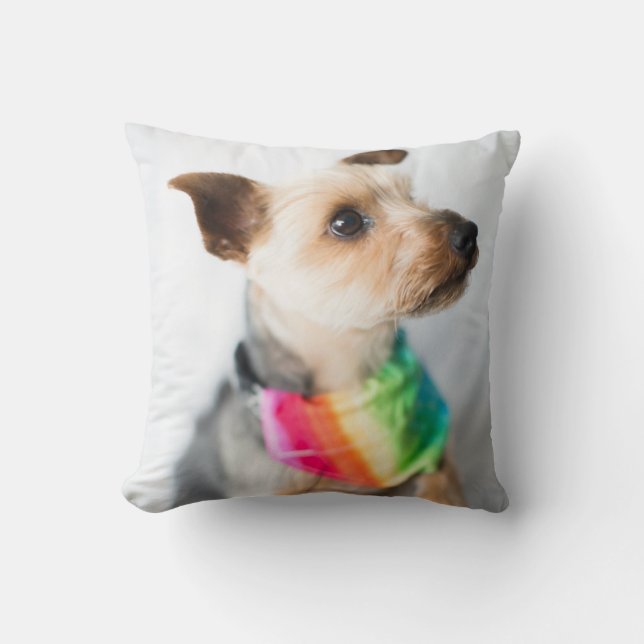 Gay Pride Rainbow Dog | Yorkshire Terrier Kussen (Voorkant)
