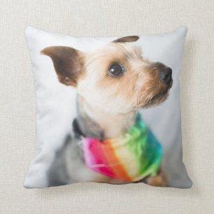 Gay Pride Rainbow Dog Yorkshire Terrier Kussen