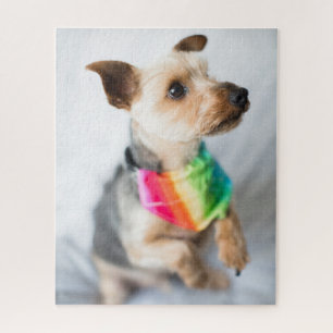 Gay Pride Rainbow Dog Yorkshire Terrier Legpuzzel