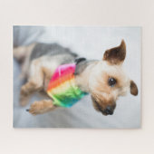 Gay Pride Rainbow Dog | Yorkshire Terrier Legpuzzel (Horizontaal)