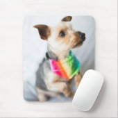 Gay Pride Rainbow Dog | Yorkshire Terrier Muismat (Met muis)