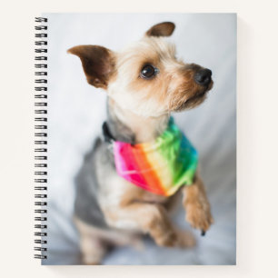 Gay Pride Rainbow Dog Yorkshire Terrier Notitieboek