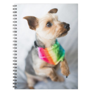 Gay Pride Rainbow Dog Yorkshire Terrier Notitieboek