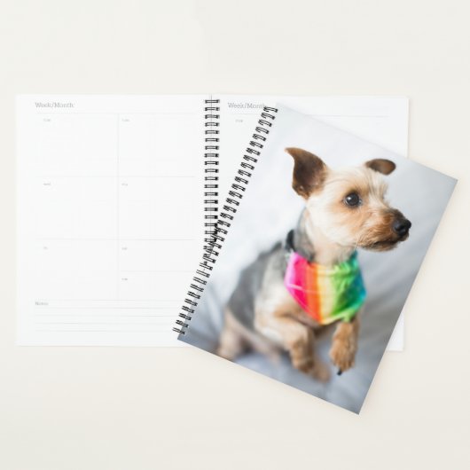 Gay Pride Rainbow Dog | Yorkshire Terrier Planner (Display)