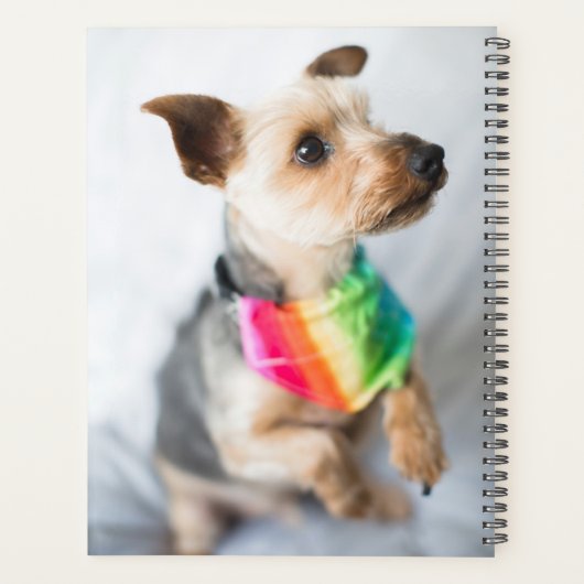 Gay Pride Rainbow Dog | Yorkshire Terrier Planner (Achterkant)