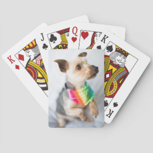 Gay Pride Rainbow Dog   Yorkshire Terrier Pokerkaarten