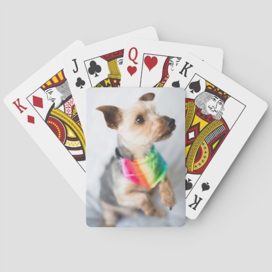 Gay Pride Rainbow Dog | Yorkshire Terrier Pokerkaarten (Achterkant)