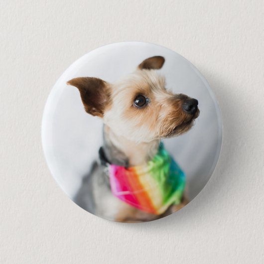 Gay Pride Rainbow Dog | Yorkshire Terrier Ronde Button 5,7 Cm (Voorkant)
