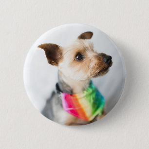Gay Pride Rainbow Dog Yorkshire Terrier Ronde Button 5,7 Cm