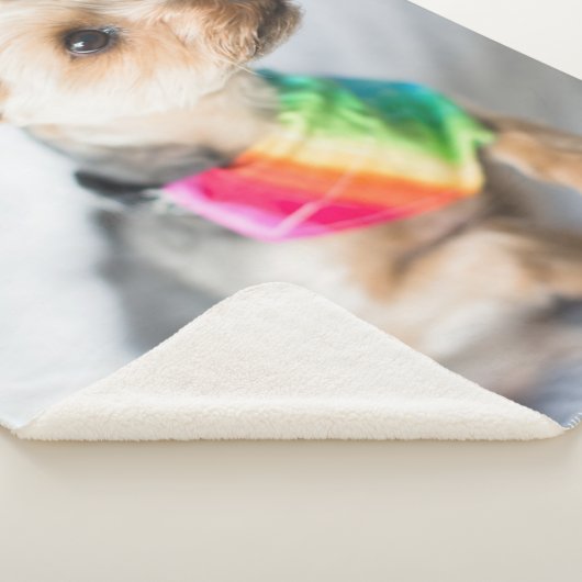 Gay Pride Rainbow Dog | Yorkshire Terrier Sherpa Deken (3/4)