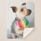 Gay Pride Rainbow Dog | Yorkshire Terrier Sherpa Deken (Voorkant)