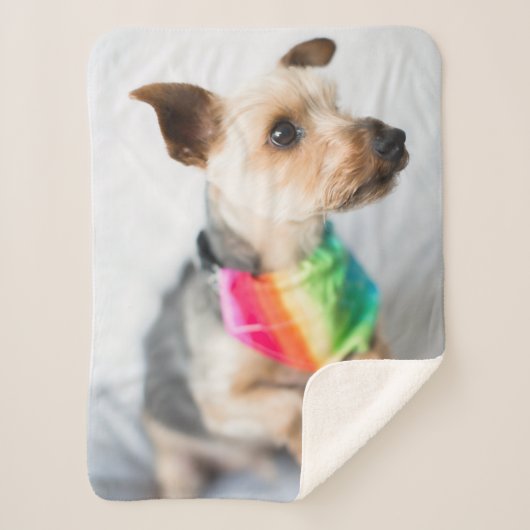 Gay Pride Rainbow Dog | Yorkshire Terrier Sherpa Deken (Voorkant)