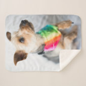 Gay Pride Rainbow Dog | Yorkshire Terrier Sherpa Deken (Voorkant (horizontaal))