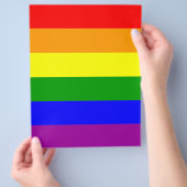 Gay Pride Rainbow Flag Flyer (Hand)
