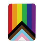 Gay Pride Rainbow Flag Progressive LGBTQIA+ Magneet (Verticaal)