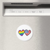 Gay Pride USA Magneet (Insitu (Vaatwasser))