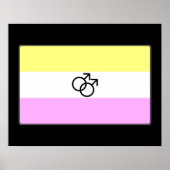 Gay Twink Pride Flag Poster (Voorkant)