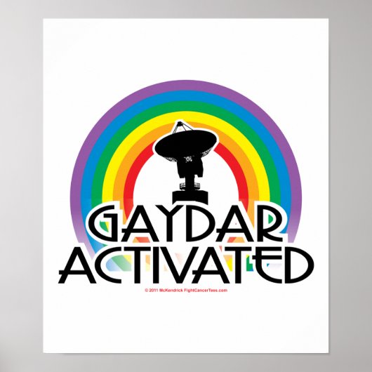 Gaydar geactiveerd poster (Voorkant)