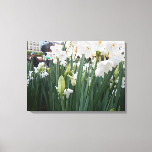 "Gaye Elise Beda", "New York City, NYC" Canvas Afdruk (Voorkant)