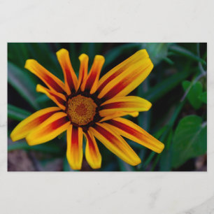 Gazania bloem briefpapier