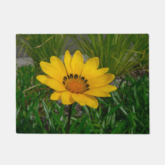 Gazania Bloem Deurmat