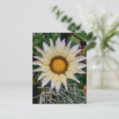 Gazania Bloem Geel Wit Briefkaart (Staand voorkant)