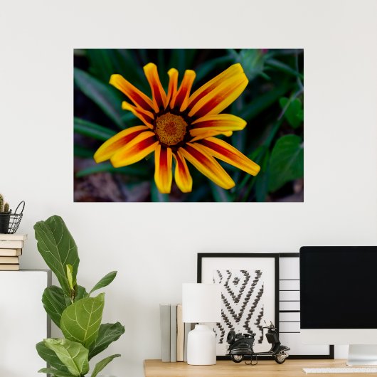 Gazania bloem poster (Thuiskantoor)