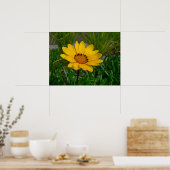 Gazania Bloem Poster (Keuken)