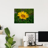 Gazania Bloem Poster (Thuiskantoor)