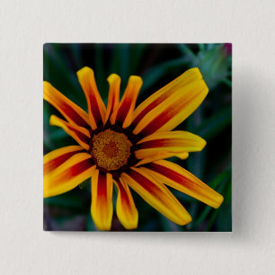 Gazania bloem vierkante button 5,1 cm