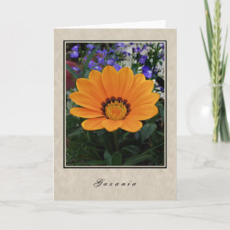 Gazania - BloemenReeks Kaart